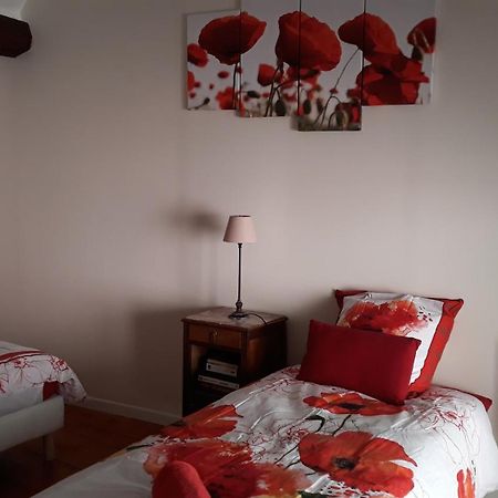 Hotel La Maison Rose: Lieu Atypique Nemours Zewnętrze zdjęcie